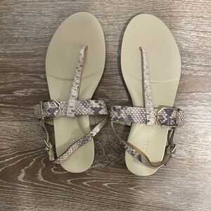 Cole Haan Snakeskin Pattern Sandals with Beige Base